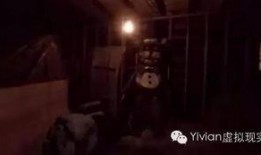 美国爆料恐怖视频大全,惊悚瞬间大盘点